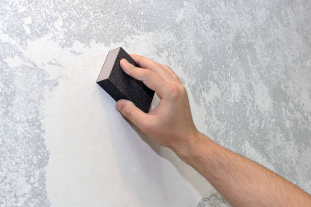 Best HVAC Mold Inspection and Cleaning  in Ranson, WV