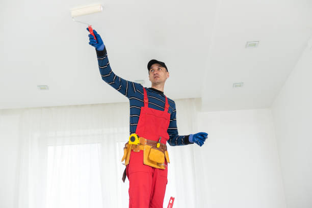 Best Post-Construction Mold Inspection  in Ranson, WV
