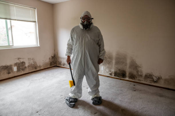 Mold Remediation for Vacation Homes in Ranson, WV