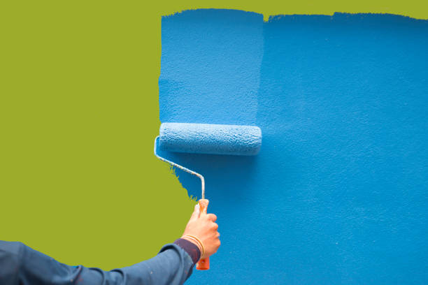 Best Basement Mold Removal  in Ranson, WV